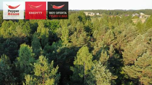 DZIAŁKA ROLNA W SPOKOJNEJ OKOLICY 2000M2