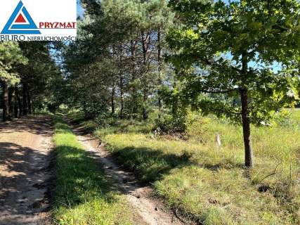 MARUNY - DZIAŁKI DO SPRZEDAŻY z warunkami zabudowy