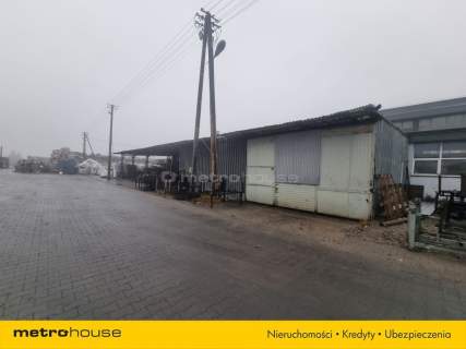 Magazyn do wynajęcia, 2000 m2, Łosice