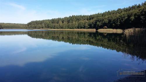 Działka pod lasem w pobliżu jeziora