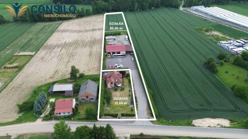 DOM 168m2-DZIAŁKA 96ar-HALA Sieciechowice koło S7