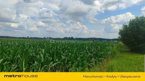 Sprzedam działkę rolno-budowlaną,1.4ha, Dąbrowice