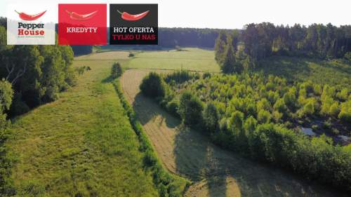 DZIAŁKA ROLNA W SPOKOJNEJ OKOLICY 2000M2