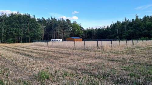 Las za oknem, projekt w ręku działka gotowa do budowy
