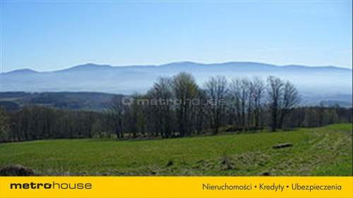 Działka rolna na sprzedaż, 3199190 m2, Bystrzyca Kłodzka