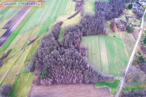 Działka 16900 m2 Zambski Stare