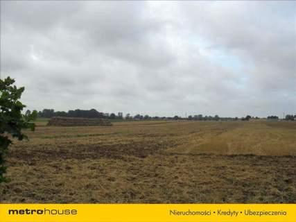 Działka rolna na sprzedaż, 20300 m2, Kobylniki