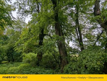 Zabytkowy Park Pałacowy/Dworski z XIX w. - 7.27ha