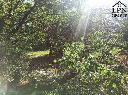 Działka budowlana przy lesie, Sułków