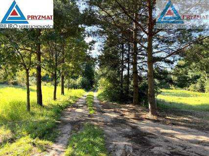 Działki z warunkami zabudowy - MARUNY