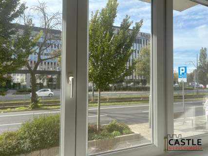 3-pokojowe mieszkanie w centrum Poznania-wynajem