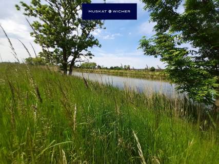 Działka z linią brzegową rzeki.