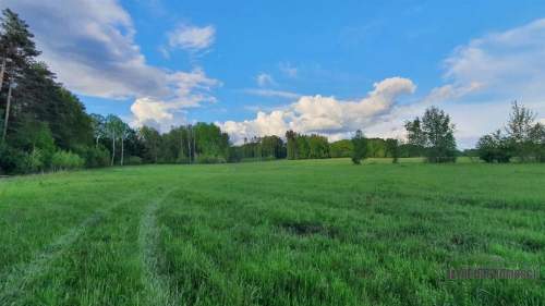 Działka rolna pod lasem