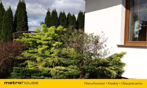 Dom/Las/Natura
