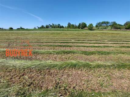 Działka rolna - Kopnica