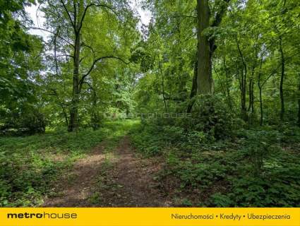 Zabytkowy Park Pałacowy/Dworski z XIX w. - 7.27ha