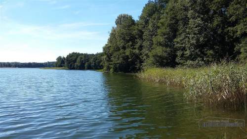 Działka w pobliżu lasu i jeziora