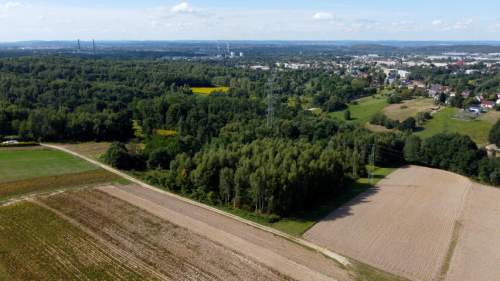 ROZLEGŁA ZIELONA NIERUCHOMOŚĆ GRUNTOWA, 15KM OD KRAKOWA, BUKÓW,...