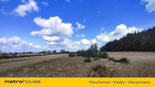 Na sprzedaż działka marzeń pod Skierniewicami