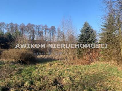 Mszczonów, Adamowice