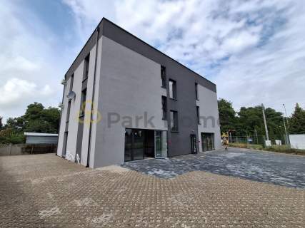 DO WYNAJĘCIA przestronny lokal na parterze 161m2