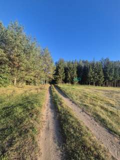 Działka budowlana w lesie.