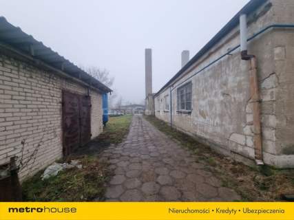 Magazyn do wynajęcia, 2000 m2, Łosice