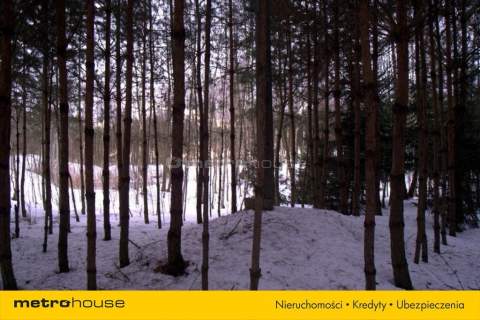 Działka budowlana na sprzedaż, 9830 m2, Okrągła Łąka