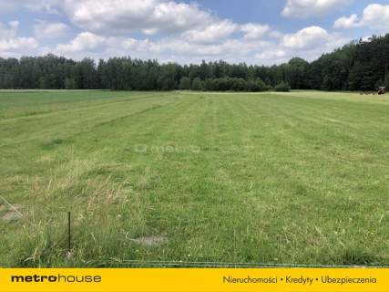 Działka budowlana na sprzedaż, 800 m2, Kaleń