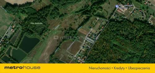 Działka dla inwestora Spalice 6748m2 5 działek