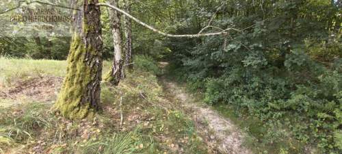 Działka budowlana na sprzedaż, 8200 m2, Babica