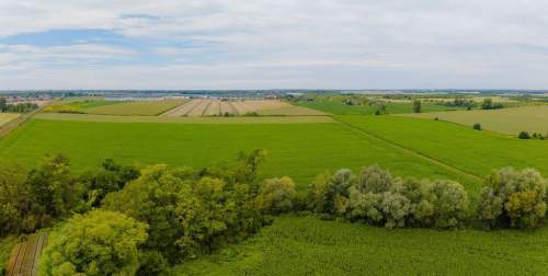 Teren ok.8ha Obszar Przemysłowy, Muchobór Wielki