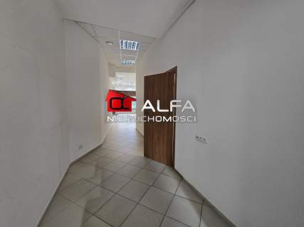 Lokal użytkowy do wynajęcia, 80 m2, Świdnica