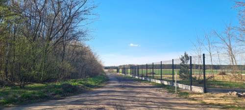 Las za oknem, projekt w ręku działka gotowa do budowy
