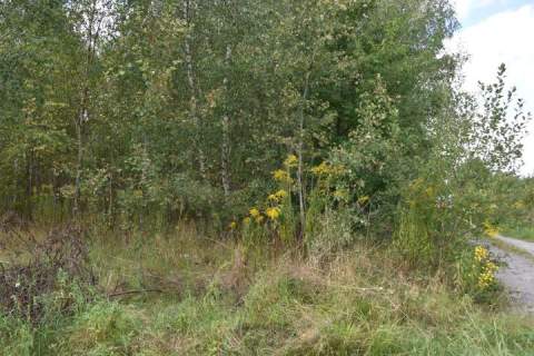 Działka budowlana na sprzedaż, 10100 m2, Lisowola