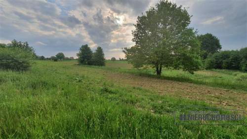 Działka siedliskowa ok. 1 km od Jeziora Pile