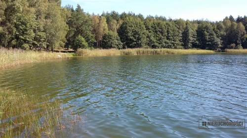 Działka pod lasem w pobliżu jeziora
