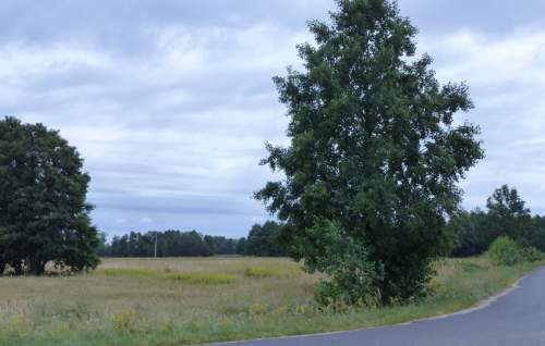 Działki rolno-budowlane razem 8,85ha