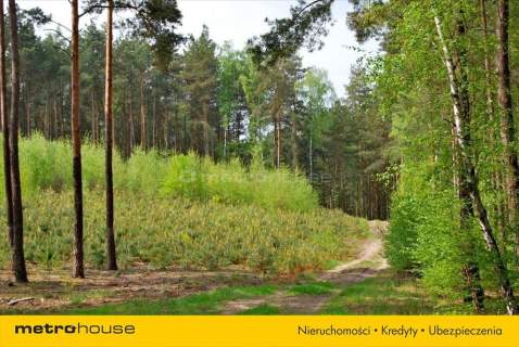 Działka siedliskowa na sprzedaż, 7100 m2, Pąchy