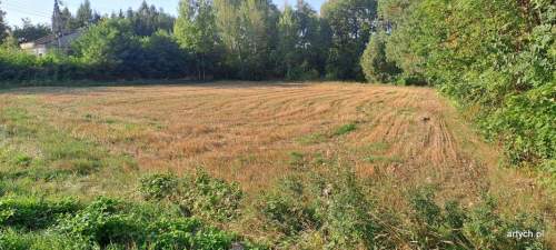 Działka budowlana na sprzedaż, 4800 m2, Wiechetki Małe