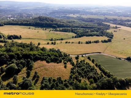 11 HA DZIAŁKA POD INWESTYCJĘ W WOJCIECHOWICACH