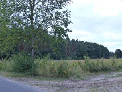 Działki rolno-budowlane razem 8,85ha