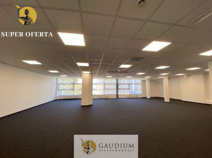 Lokal DUŻY w Centrum Gdyni 