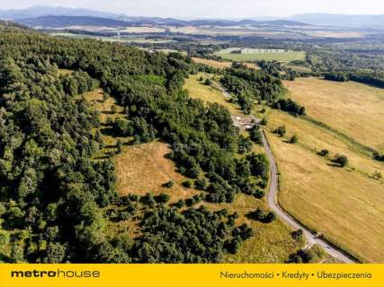 11 HA DZIAŁKA POD INWESTYCJĘ W WOJCIECHOWICACH