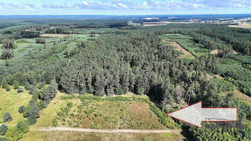 Okolica jeziora Dołgie i kompleksów leśnych.