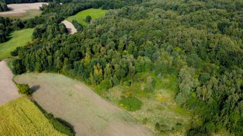 ROZLEGŁA ZIELONA NIERUCHOMOŚĆ GRUNTOWA, 15KM OD KRAKOWA, BUKÓW,...