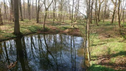 11 ha przy drodze S6/S11. 20 min do Kołobrz
