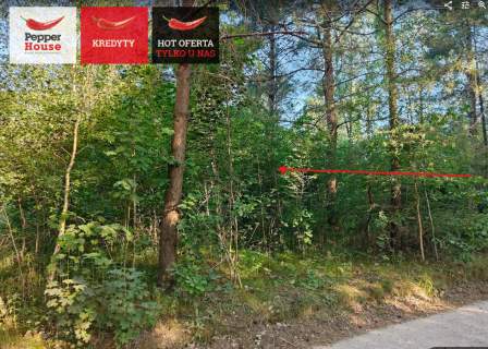DZIAŁKA ROLNA W SPOKOJNEJ OKOLICY 2000M2