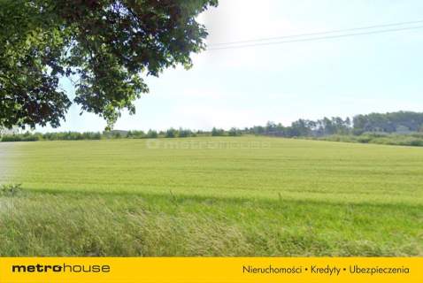 DZIAŁKA POD ZABUDOWĘ WIELORODZINNĄ, CZERWONAK
