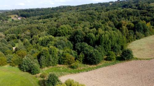 ROZLEGŁA ZIELONA NIERUCHOMOŚĆ GRUNTOWA, 15KM OD KRAKOWA, BUKÓW,...